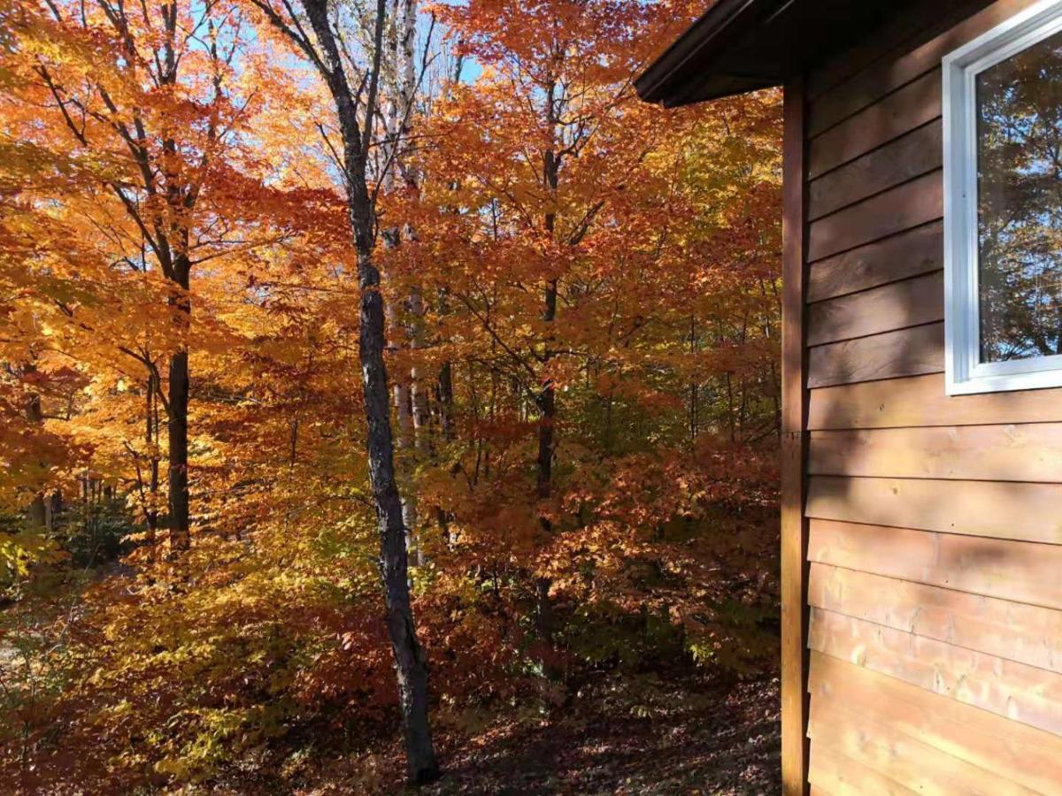 Sunny Point Resort Otter Lake Exterior foto